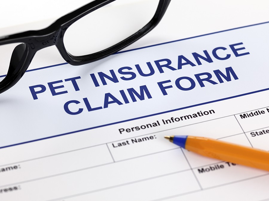 「PET INSURANCE CLAIM FORM（ペット保険）」と書かれている用紙