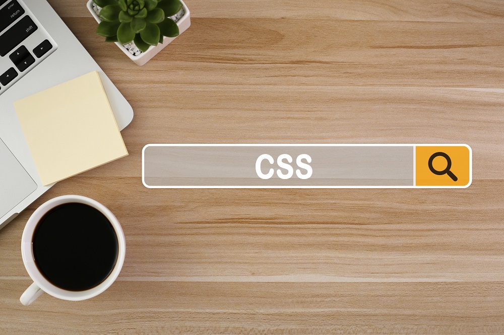 CSSとは何か検索！
