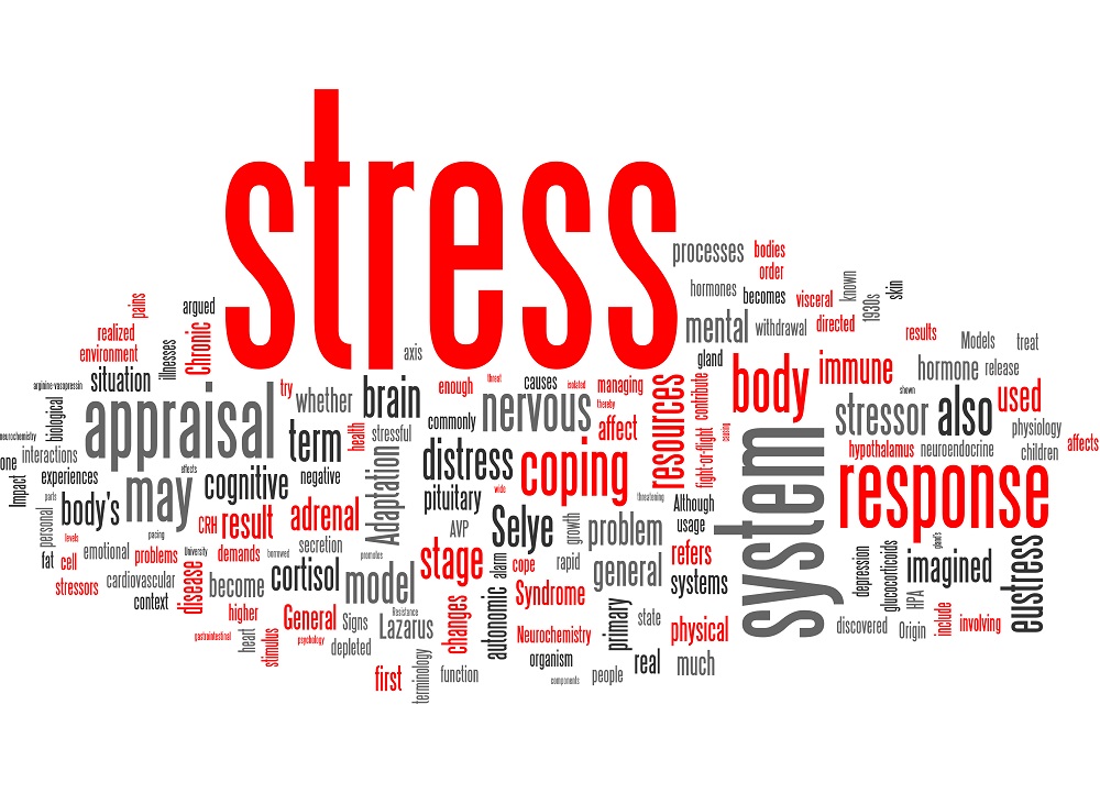 ストレスへの対処を意味する「コーピング」