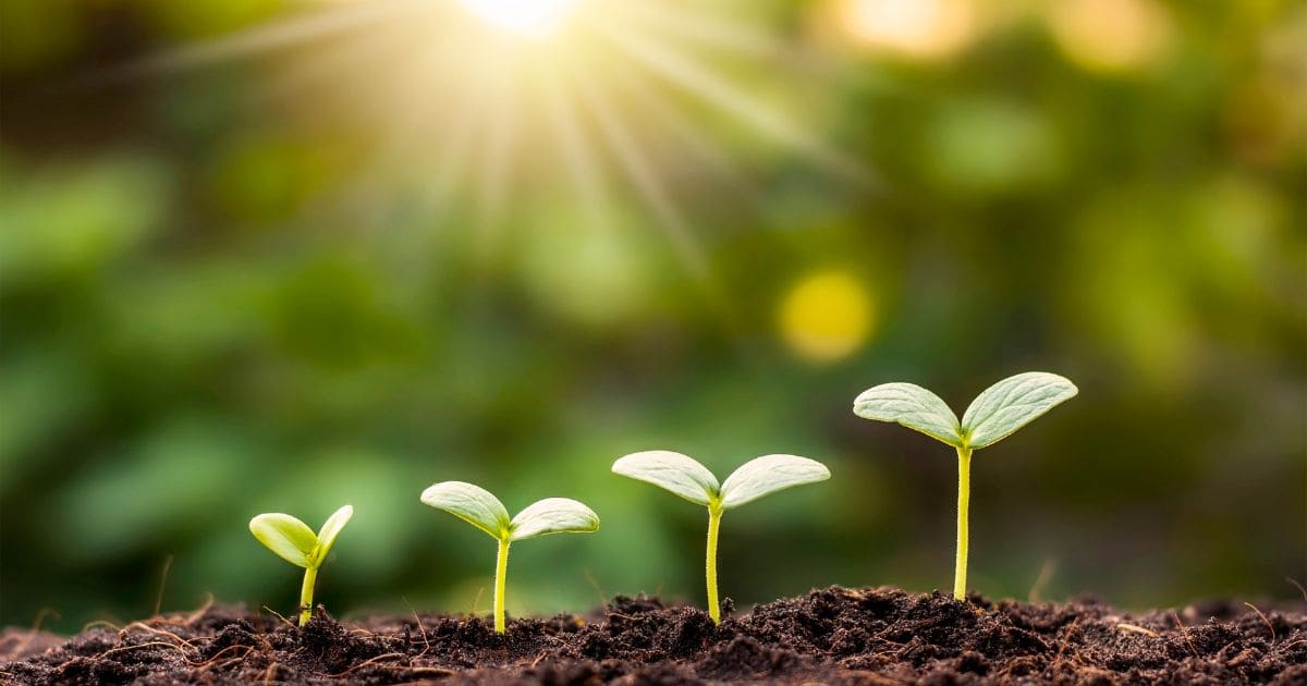 SDGsとWebマーケティングで企業成長を促すイメージ